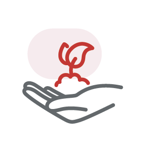 Internationale Erfahrung