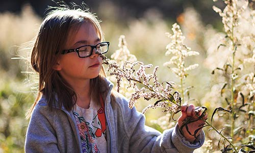 notfallpaedagogik-trauma-muenchen-traumapaedagogik