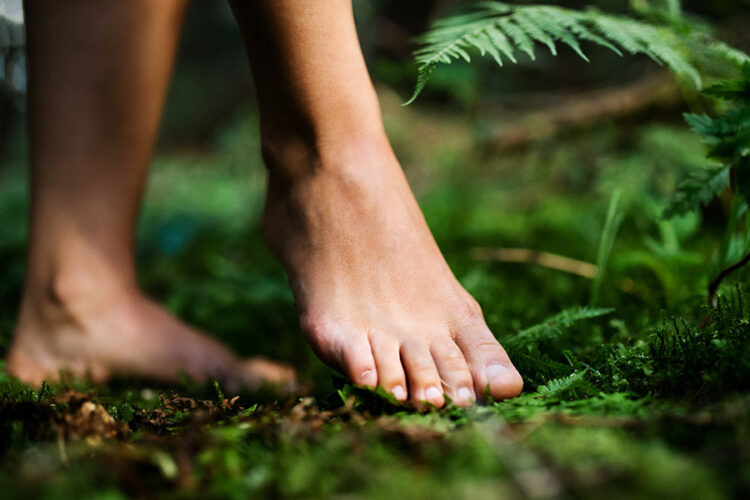 somatic-experiencing-ausbildung-muenchen